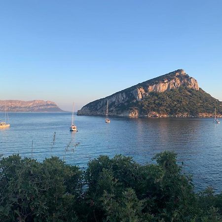 Appartamenti Le Primule Golfo Aranci Εξωτερικό φωτογραφία