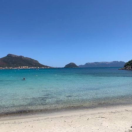 Appartamenti Le Primule Golfo Aranci Εξωτερικό φωτογραφία