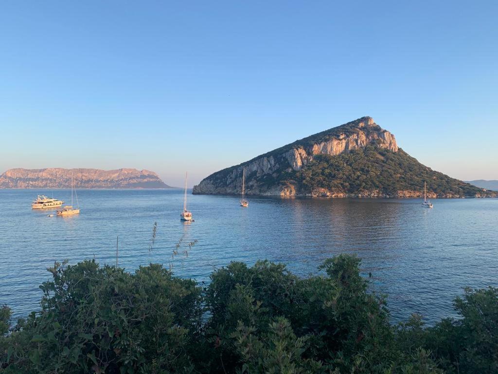 Appartamenti Le Primule Golfo Aranci Εξωτερικό φωτογραφία
