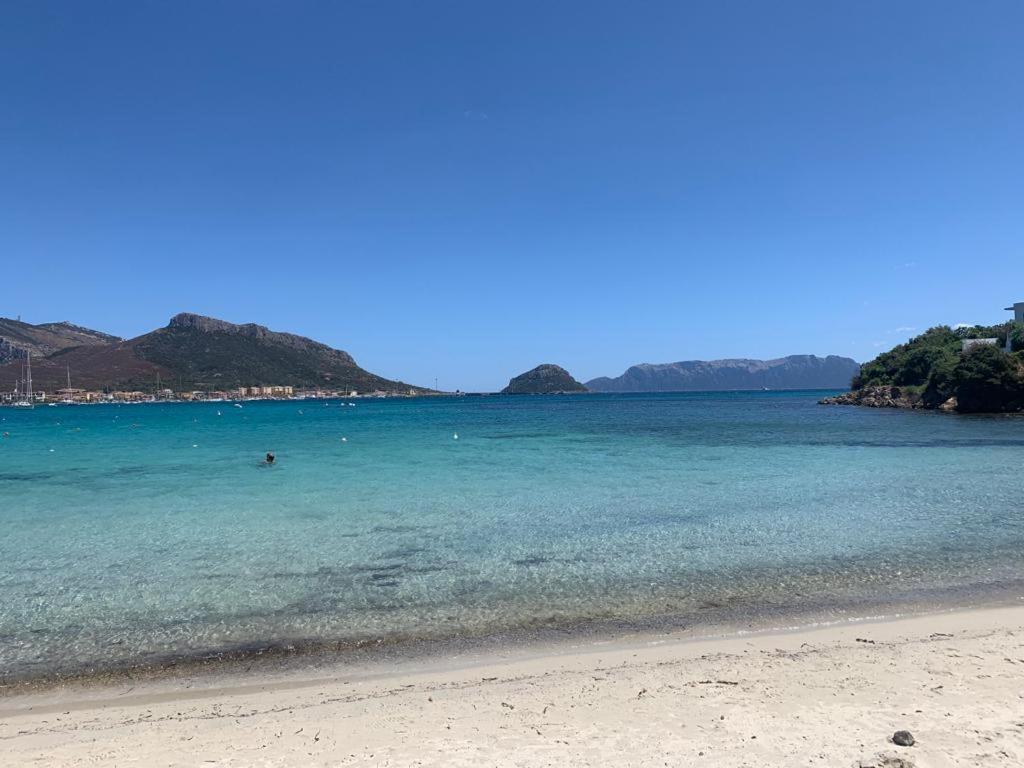 Appartamenti Le Primule Golfo Aranci Εξωτερικό φωτογραφία